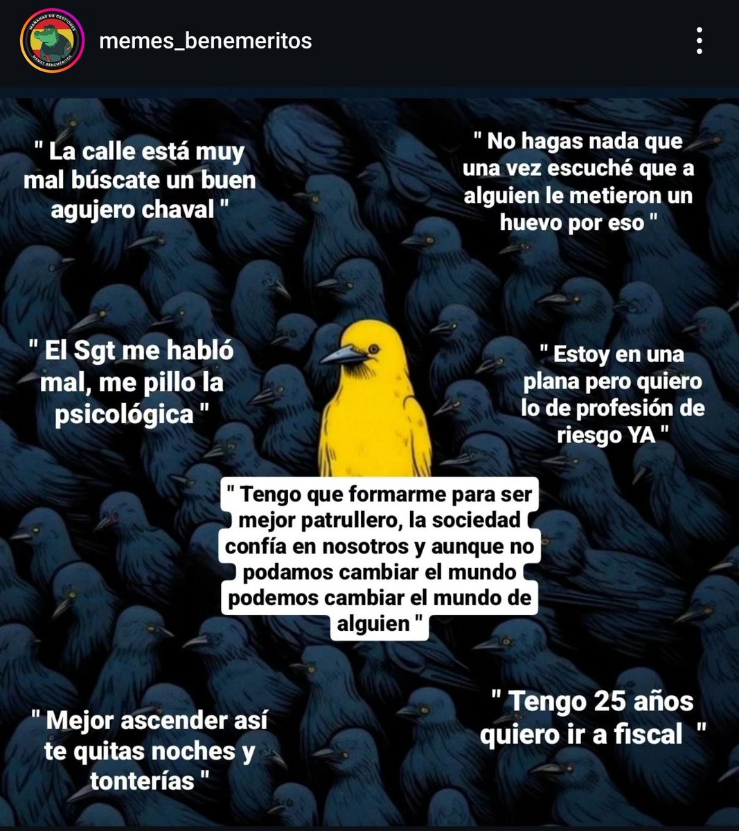 Mr. Delta🕶️ tweet media