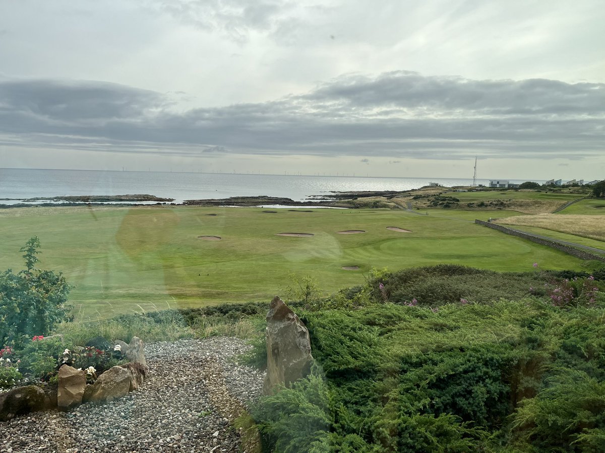 Jim Young tweet media