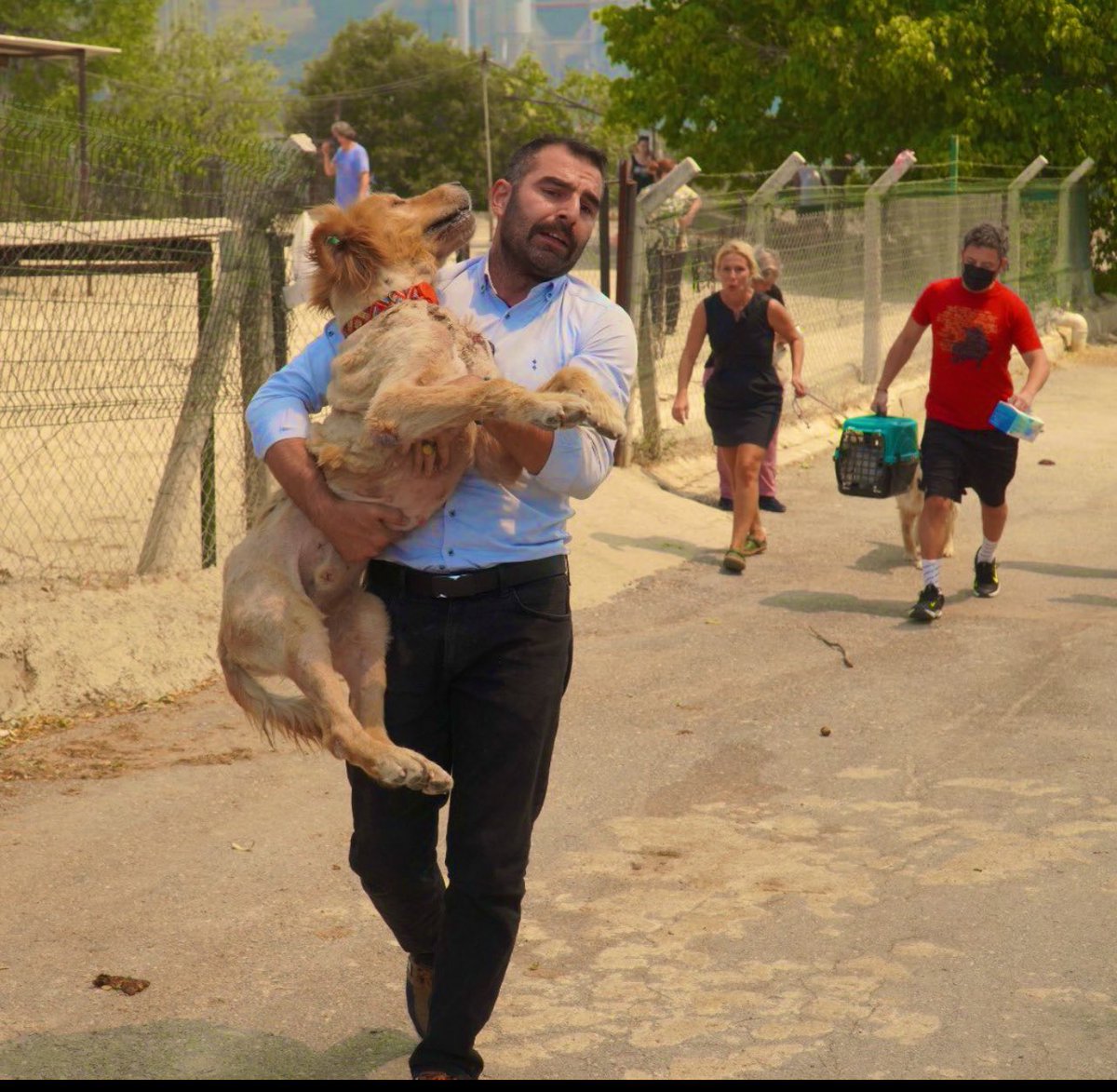 Bir yanda hayvanları öldürenler, diğer yanda ise hayvanlar için hayatlarını tehlikeye atanlar... 
gecmis olsun izmir. 
 #izmir