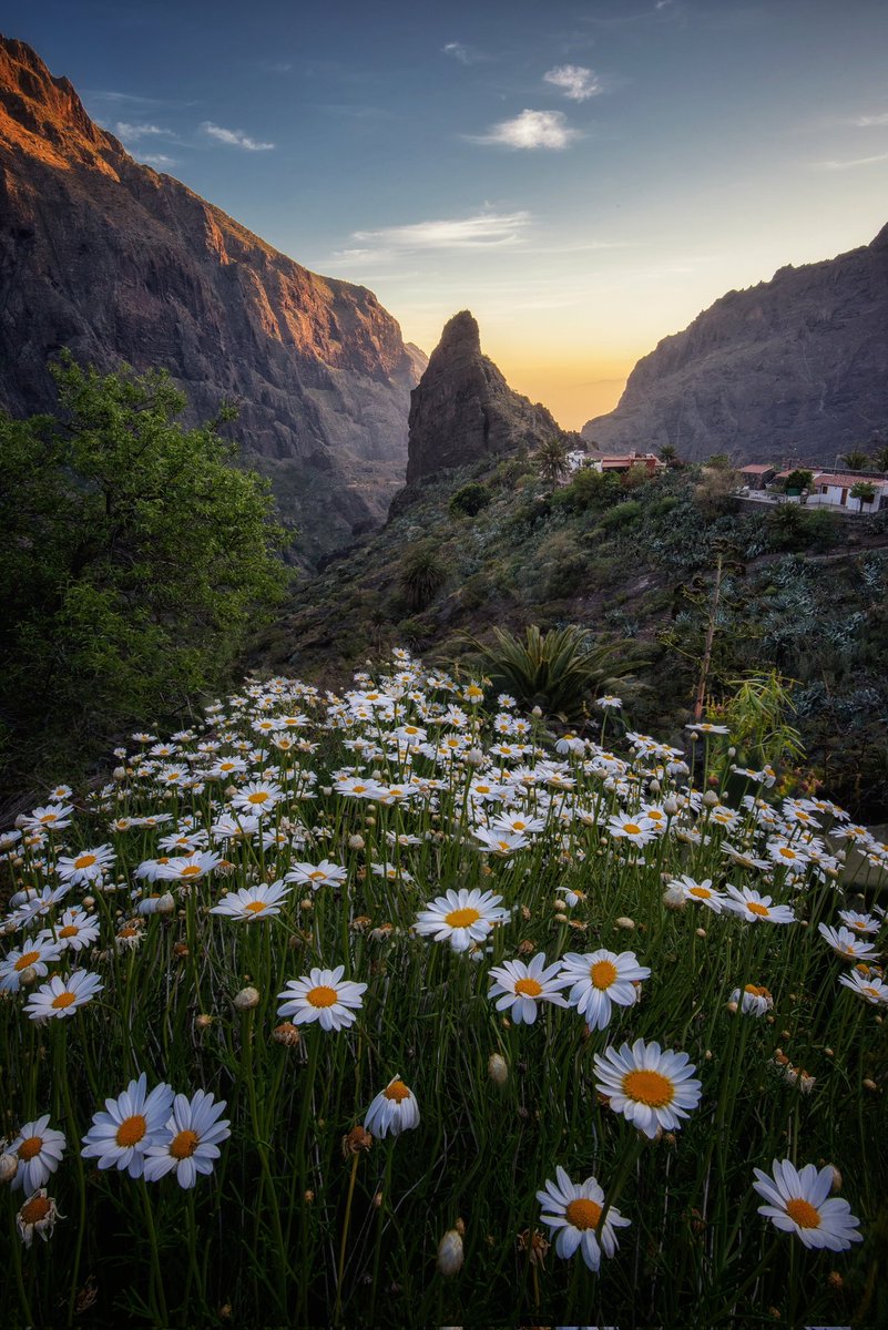 Zeworldphoto's tweet photo. El otro día pude fotografiar este encuadre de noche que era una de mis fotografías pendientes en la isla, dejo por aquí una serie de fotos de este rincón maravilloso que es Masca
#Tenerife #Canarias https://t.co/YtA0ClYXCs