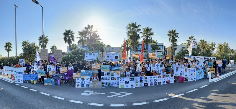 An event was recently held outside Marineland, Antibes, (France) to raise awareness about the captive cetaceans currently held at the facility.

dfe.ngo/third-annual-e…

Photo: One Voice