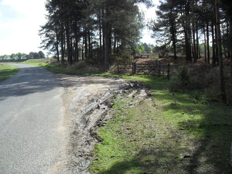 New Forest NPA tweet media