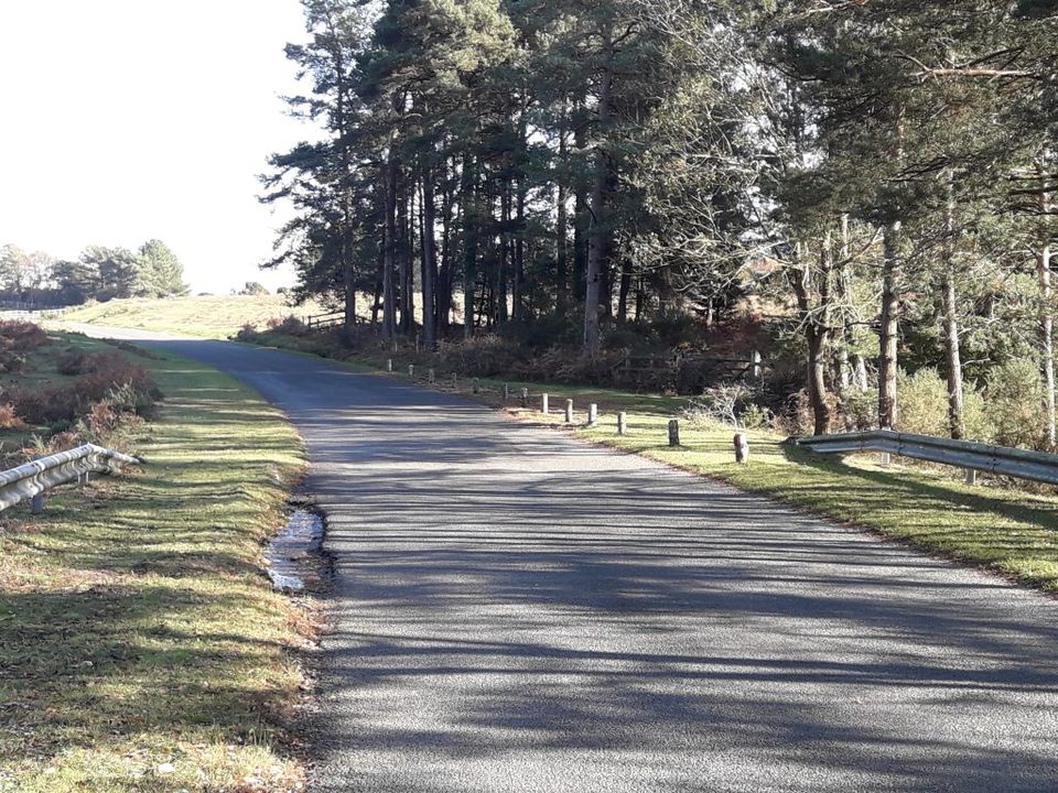 New Forest NPA tweet media