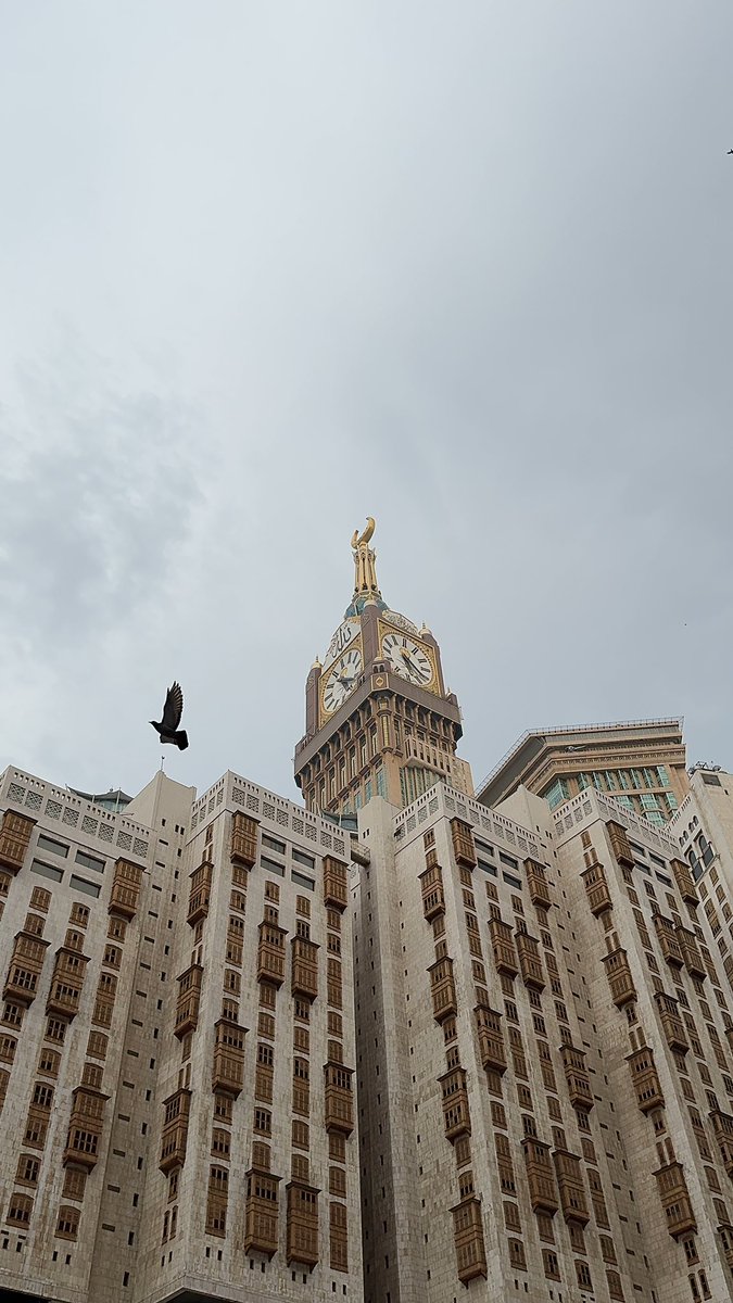 maa_li97's tweet photo. اللهم لك الحمد ولك الشكر؛ أطعمتني وسقيتني وآويتني، ورزقتني، وسترتني وأمهلتني ورحمتني، لا أحصي ثناءً عليك🤍 https://t.co/V9L0GfwVm7