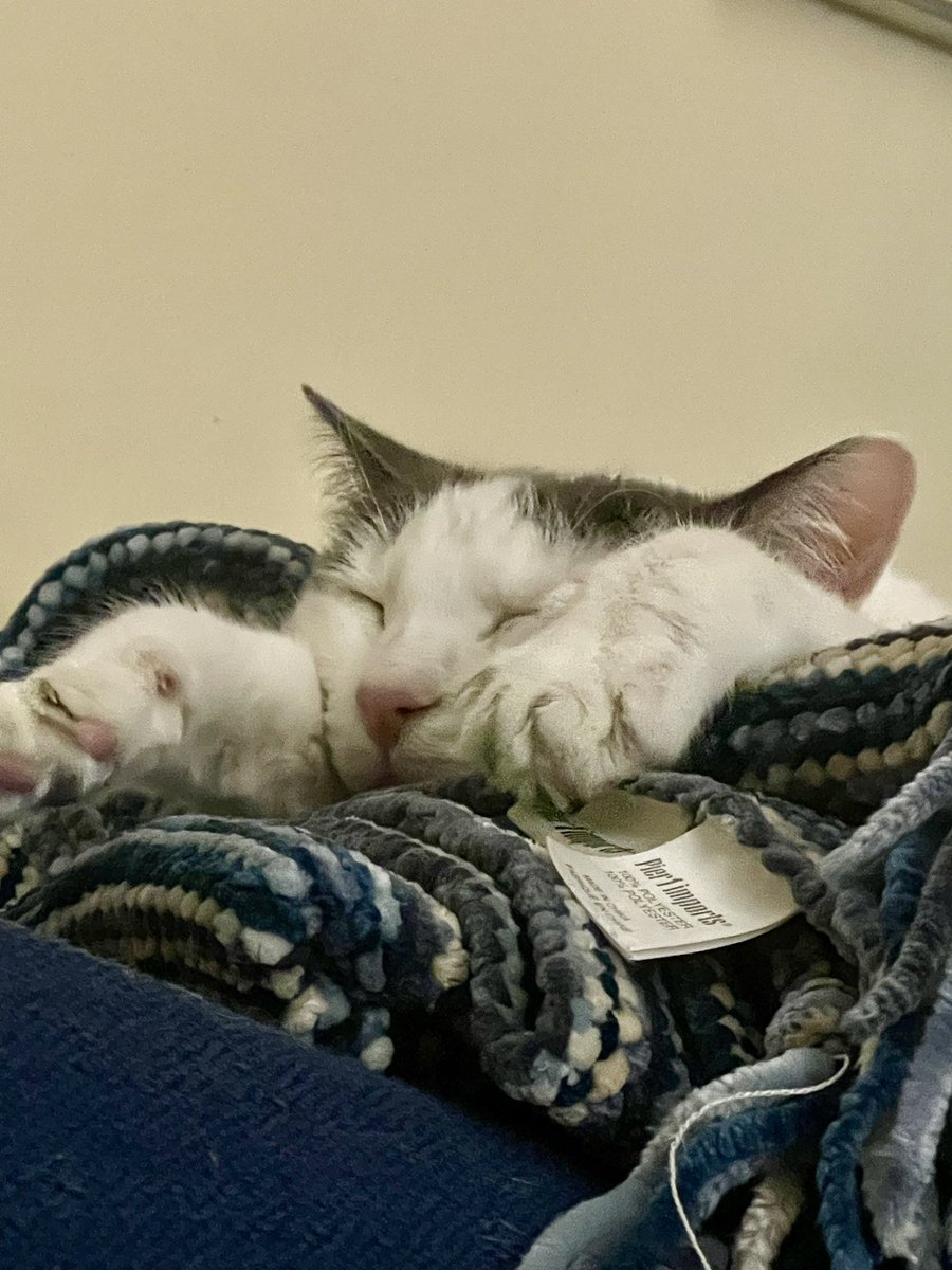 wrightfam0488's tweet photo. @DirkSchwenk Julie says it has been a long week. https://t.co/aYclGAyzJ3