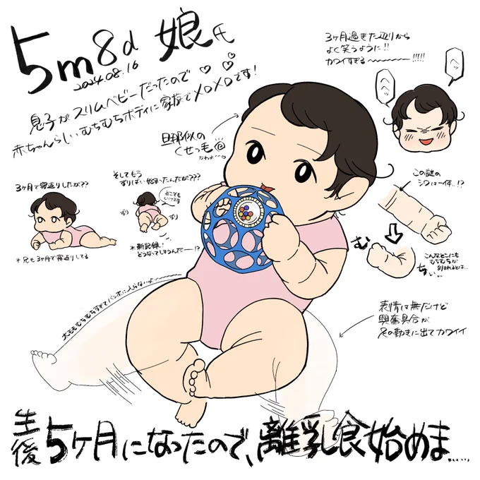 娘氏5ヶ月になりました〜!
ということで離乳食を.........ッッ
#育児絵日記 