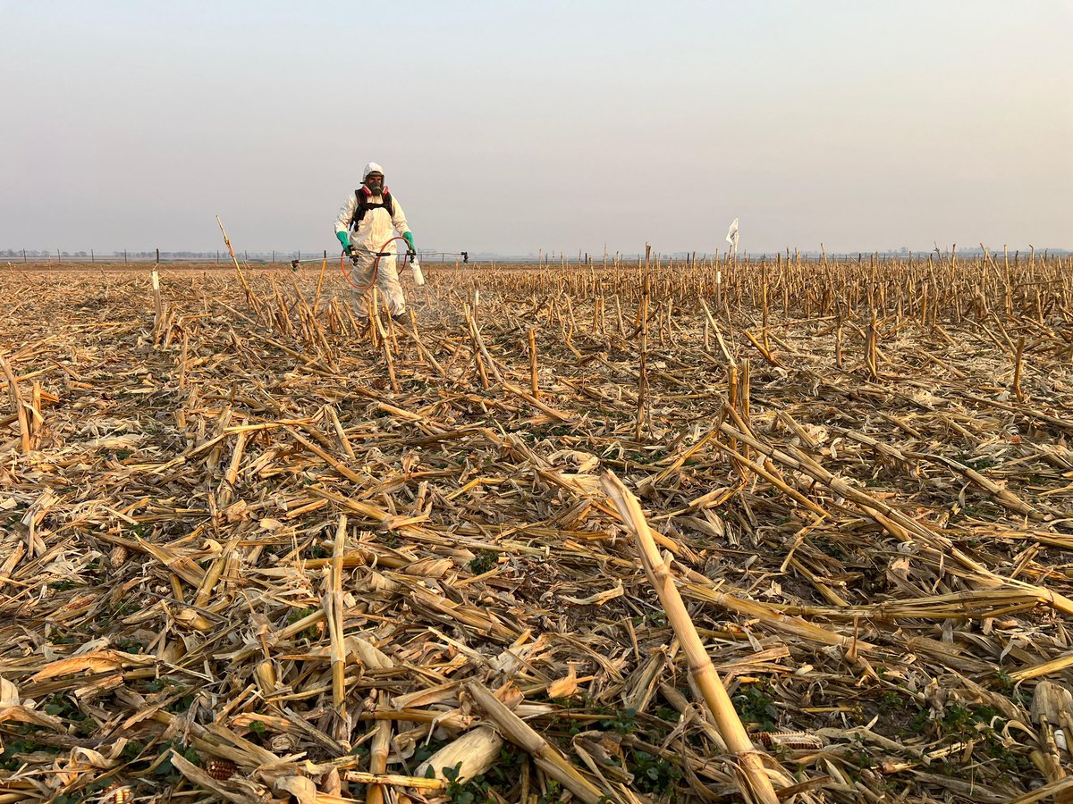 Consultora Más Hectáreas tweet media