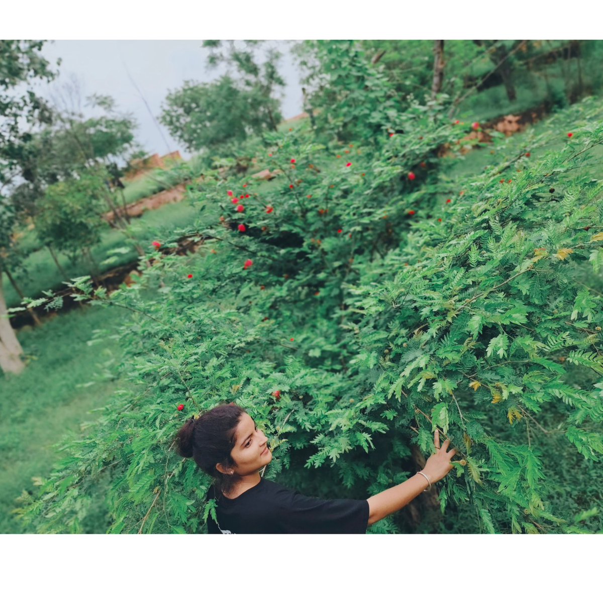 #NatureBeauty ☘️💚