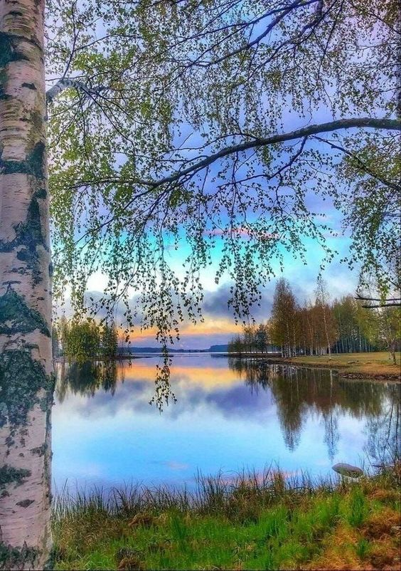 Happy Friday. I pray you have a blessed day.