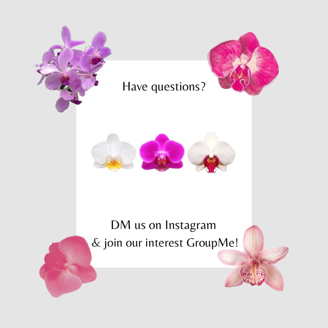 Sigma Lambda Gamma-Theta Beta tweet media