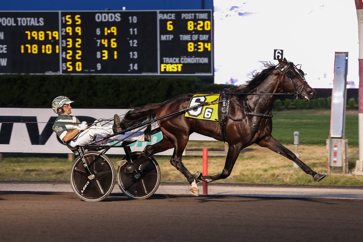 Catalogue for 2024 Lexington Selected Yearling Sale now available online 

Read now bit.ly/3X7yd4G