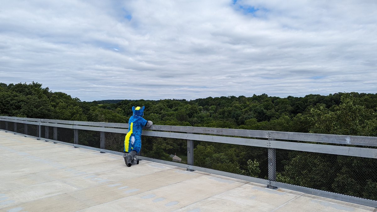 Hope everyone has a good weekend ahead.  💙💙💙

Sky is out enjoying the sunshine on this #FursuitFriday