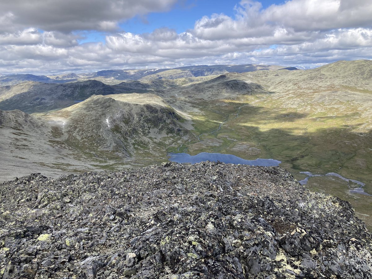 (Peter) Luca Versteegen tweet media