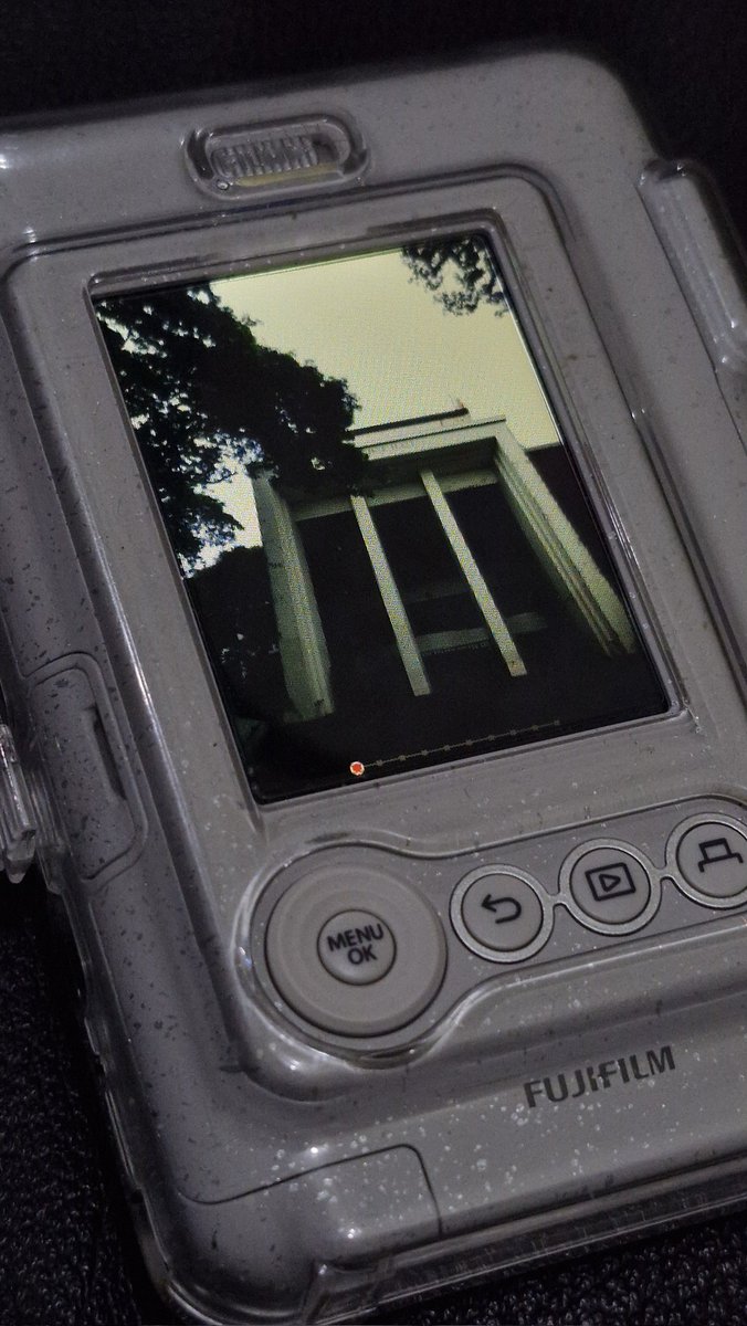 solreqs's tweet image. i should take photos with my camera more often