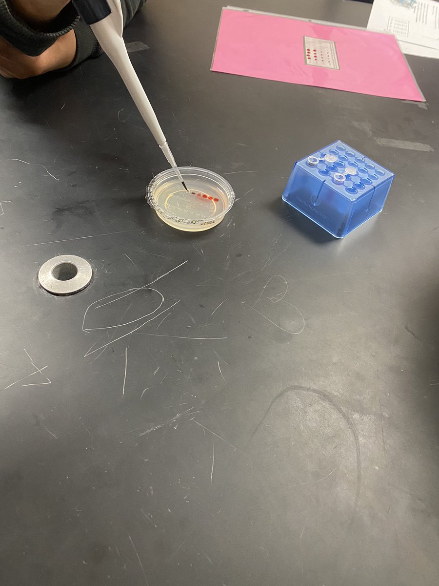 TaraMCaruthers's tweet photo. Freshmen Biology practicing using micropipettes on the second day of class?  Yes please!  Great job students and teachers!! #skeeternation https://t.co/wQQEEaAjxN