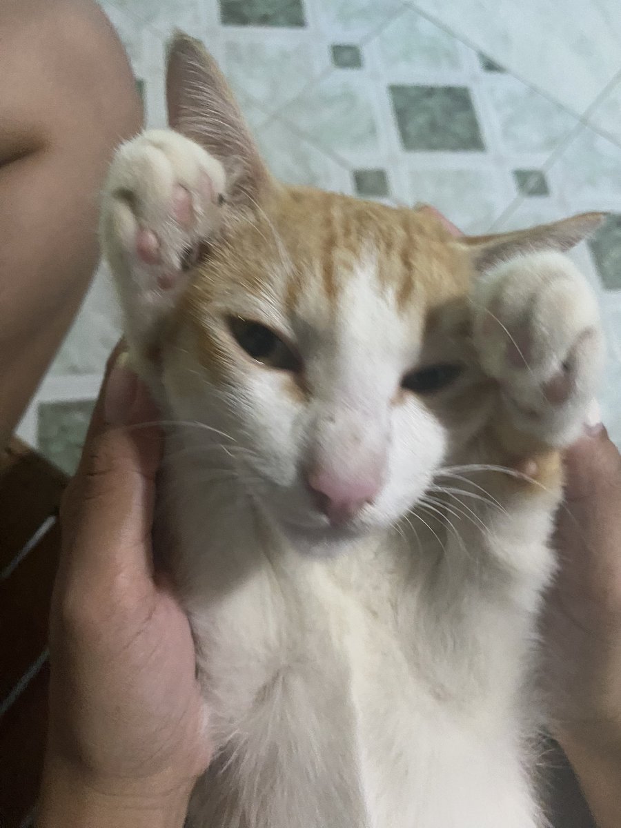 nobsszz's tweet photo. i miss u ☹️😭 https://t.co/L1PRjAxk9T