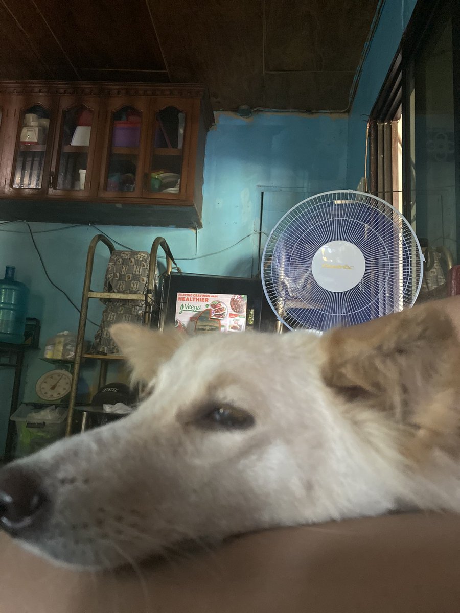 nobsszz's tweet photo. i miss u ☹️😭 https://t.co/L1PRjAxk9T