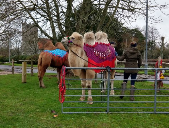 Stratford sub Castle, Salisbury, Wiltshire UK tweet media