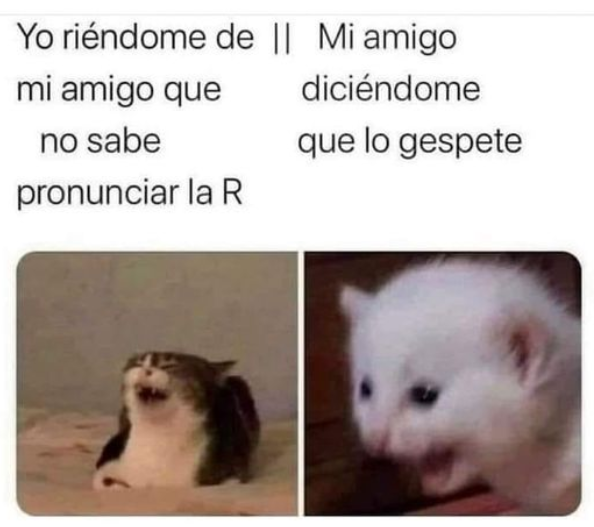 nacional_memes's tweet photo. 🐶 https://t.co/GpUlOpqHBW