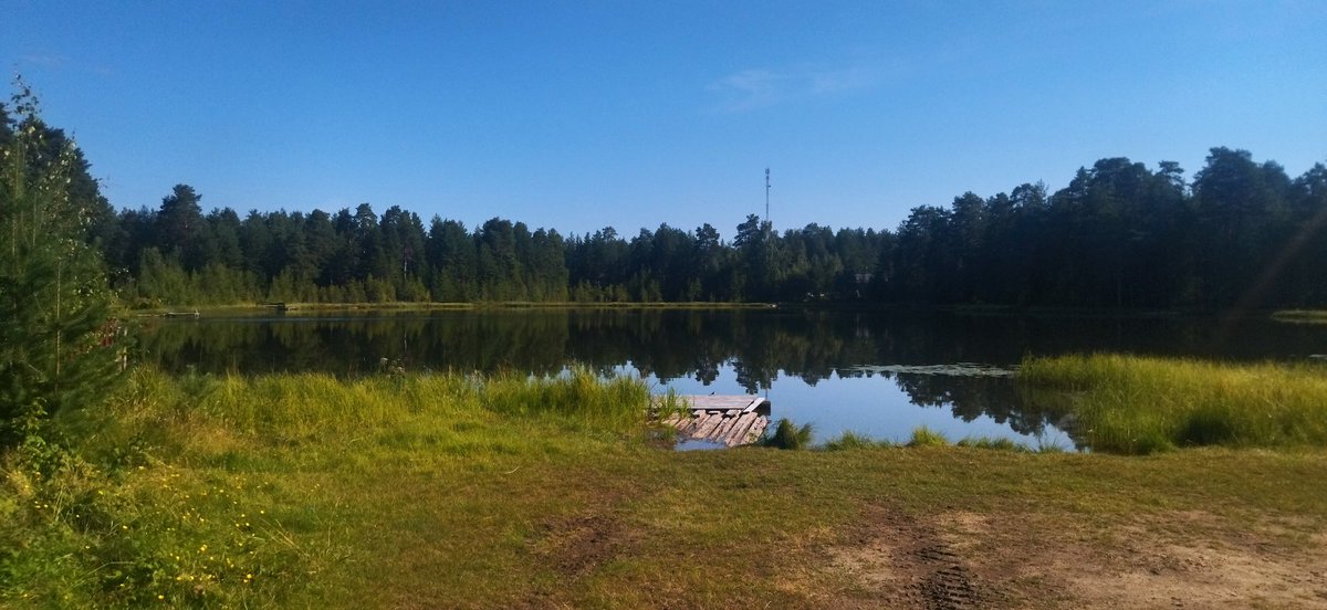 Шундай чиройли манзарага ҳеч ким лайк босмайди...