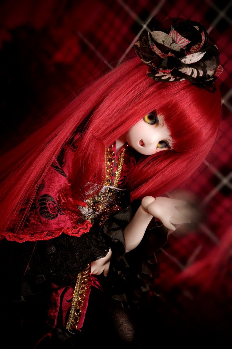 gabonarchaic's tweet photo. 【固定】
🔥うちのこ紹介ver1.03🌊

 💙イトゥ
　姫、shaman、かわいい

 ❤️‍🔥日輪
　#ひまたねっ娘 鬼っ子、つよい、かわいい

 🖤蛇月猫
　#風原っ子 イリーガル、かわいい

 ☁真無
　#すずりっこ きらきらふわふわ、かわいい https://t.co/5oa63pvUn3