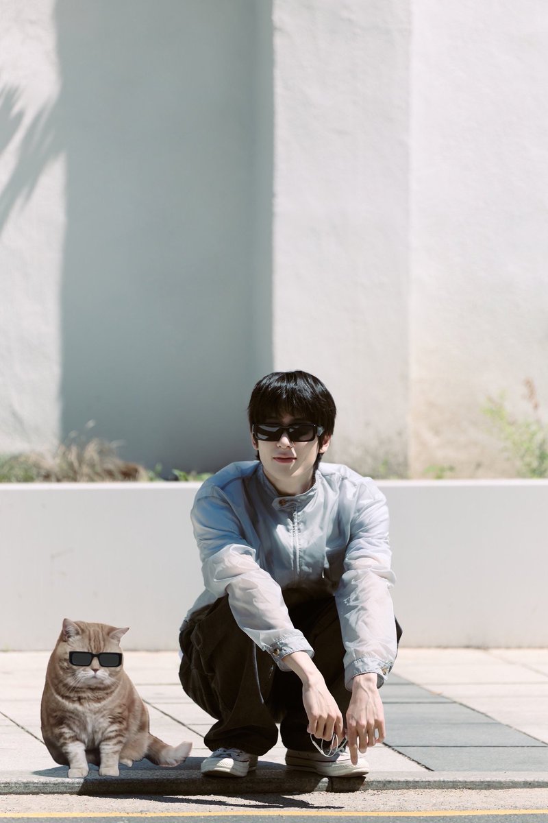 แมวเท่ๆ😎