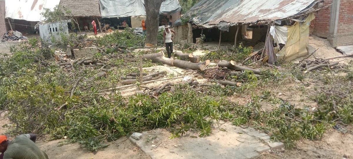 स्थानीय प्रशासन की मिली भगत से दिन-रात अवैध कटान जारी है सक्रिय हुए लकड़ी माफिया 
👉अटरिया थाना इलाके के  रैतला, दुंदपुर, नरपतपुर गांवों में अवैध कटान
<a href="/myogiadityanath/">Yogi Adityanath</a> <a href="/DfoSitapur/">Dfo Sitapur</a> <a href="/myogioffice/">Yogi Adityanath Office</a> <a href="/BhadauriyaAnand/">Anand Bhadauria</a> <a href="/BJP4UP/">BJP Uttar Pradesh</a> <a href="/dm_sitapur/">DM Sitapur</a> <a href="/gyantiwaribjp/">Gyan Tiwari MLA</a> <a href="/Igrangelucknow/">IG Range Lucknow</a>