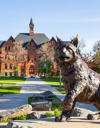 Patrick R. Secor tweet media