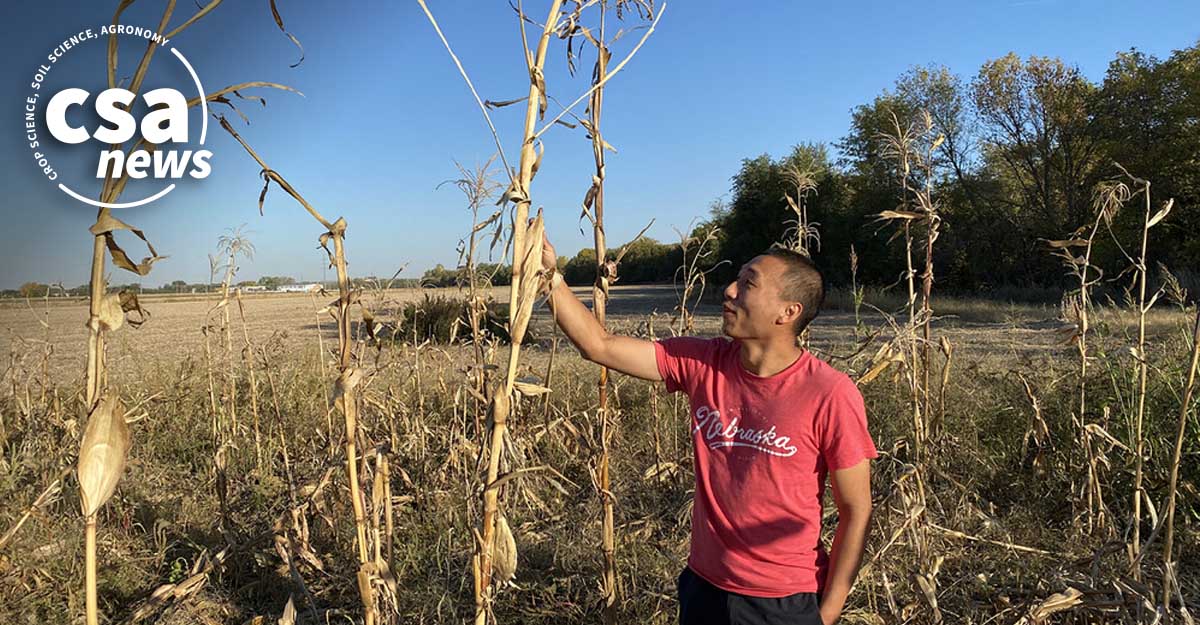 Agronomy, Crop, and Soil Science Societies (@asa_cssa_sssa) on Twitter photo ➡️ Computers imitate the 'breeder's eye' to predict grain yield from non-yield traits 🌽. Is this a cost-effective solution? Learn more: ow.ly/MLWz50SUWss
<a href="/HongyuJin5/">Hongyu Jin</a>, <a href="/szintri/">James Schnable</a>
#PlantBreeding #CropScience #PrecisionFarming #AgriTechSolutions ➡️ Computers imitate the 'breeder's eye' to predict grain yield from non-yield traits 🌽. Is this a cost-effective solution? Learn more: ow.ly/MLWz50SUWss
<a href="/HongyuJin5/">Hongyu Jin</a>, <a href="/szintri/">James Schnable</a>
#PlantBreeding #CropScience #PrecisionFarming #AgriTechSolutions