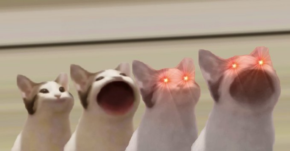 POPCAT_ETHEREUM tweet media