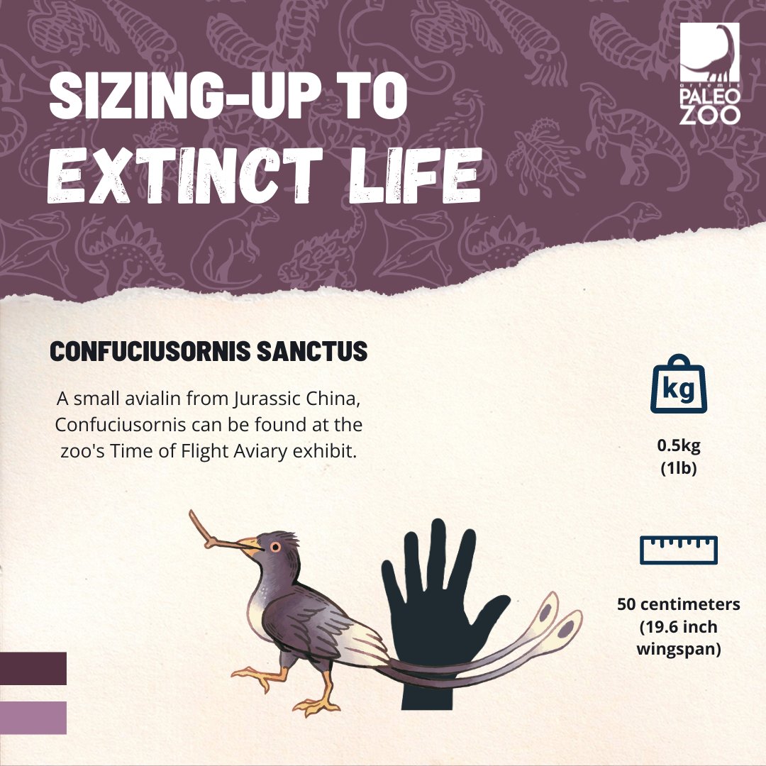 Artemis Paleozoo tweet media