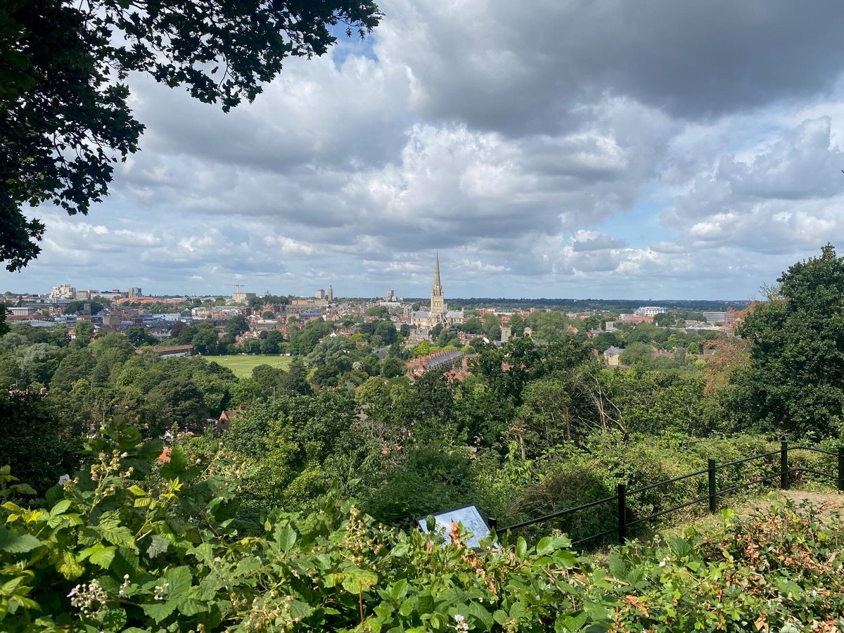 Norwich City Council tweet media