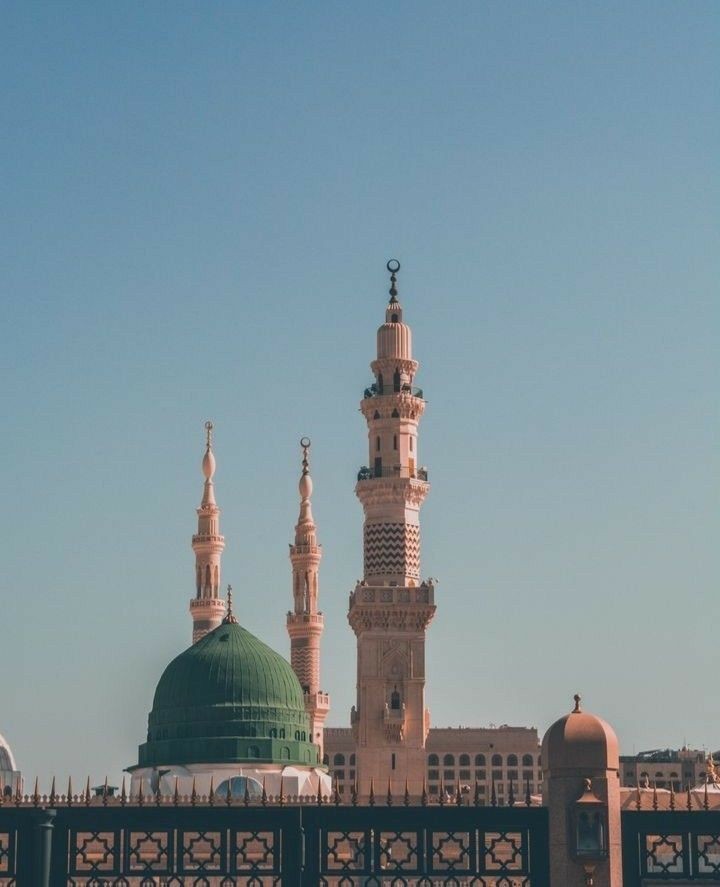 "Gül cemâlindir habîbim, mest eden bülbülleri."