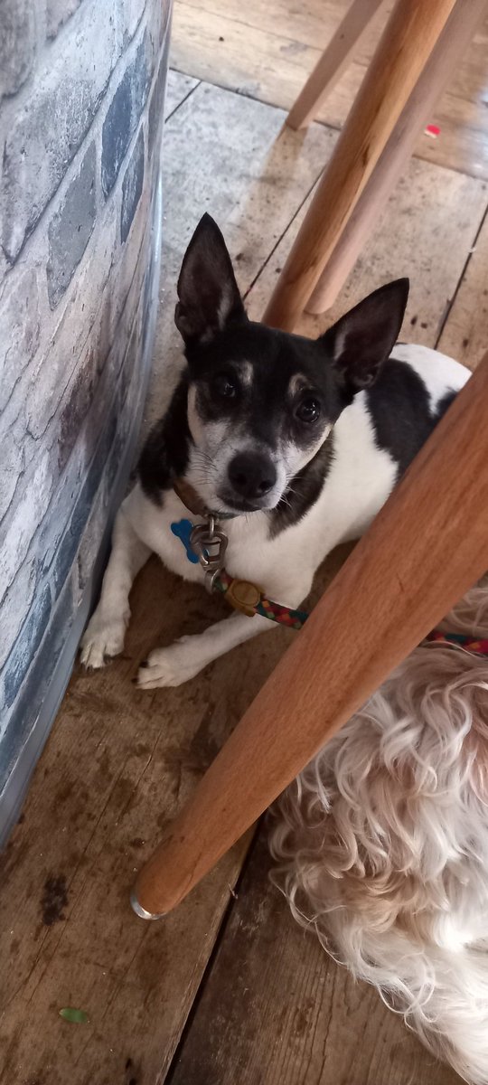 KerriePayne11's tweet image. Had such a lovely day out at #folkweek in Broadstairs for hubby's birthday today with @bekkah_payne 🥰
#summerholidays
#daysout
#Broadstairs