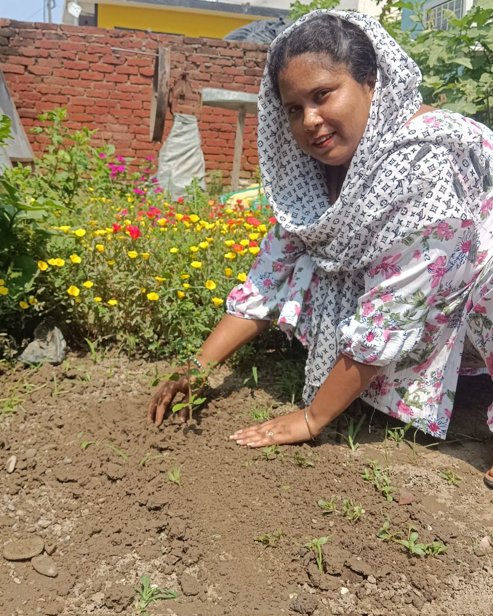 Amandeep0799's tweet photo. पावन अवतार दिवस की खुशी में विभिन्न ब्लाकों ने पौधारोपण करके इस खुशी को बहुत ही हर्षोल्लास से मनाया और अपने गुरु  Ram Rahim जी को बधाई दी,#MSGBhandara  #MegaTreePlantation 
#Treevolution #TreePlantation
#BirthdayCelebration 

Saint MSG Birthday https://t.co/82aKuHCd6N