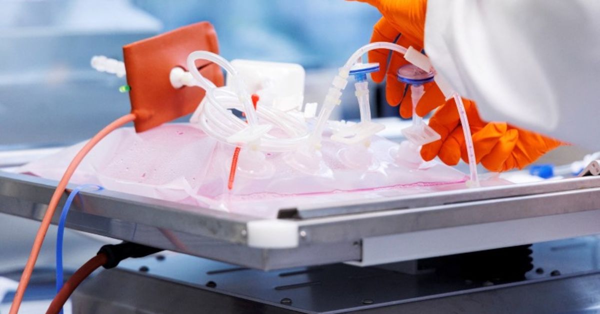 Reuters's tweet image. Biotech Bavarian Nordic's shares rally 50% this week on mpox vaccine reut.rs/4cp3rIV