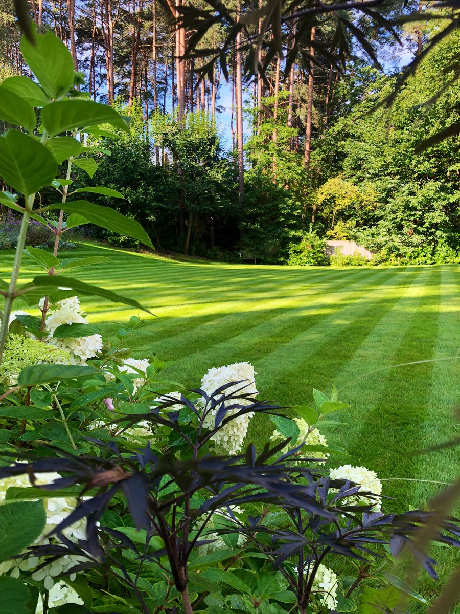 Andy Barber tweet media