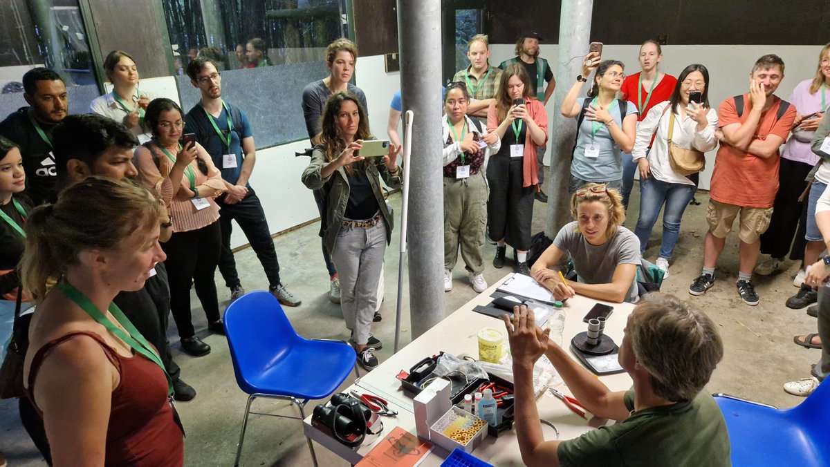 Kess Rowe tweet media