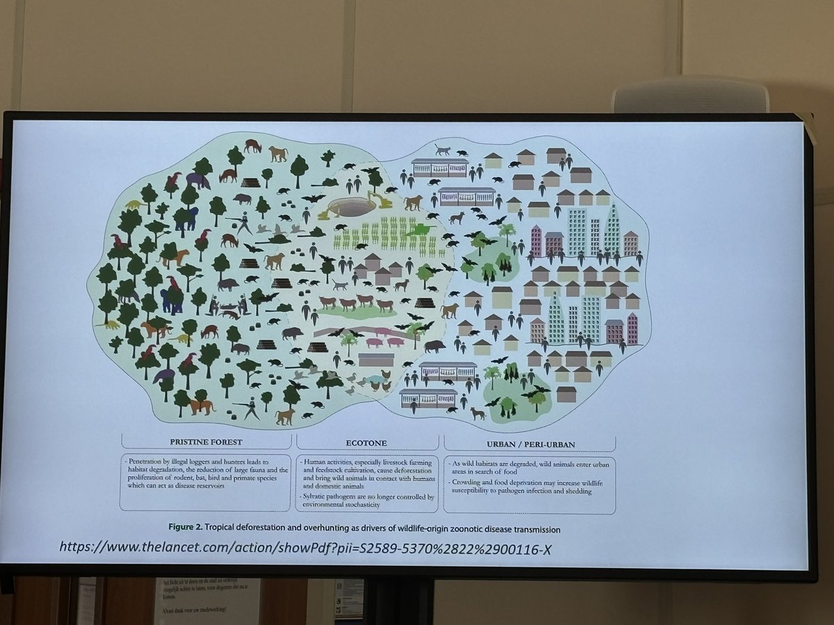 Kess Rowe tweet media