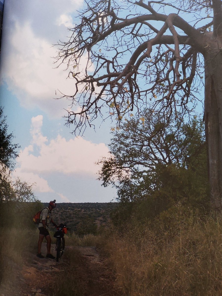 By bike from baobabs to fynbos. My 3 500 km ride from the Zimbabwe border to the Cape. Mail &amp; Gurdian, May 2011. open.substack.com/pub/kevindavie…
