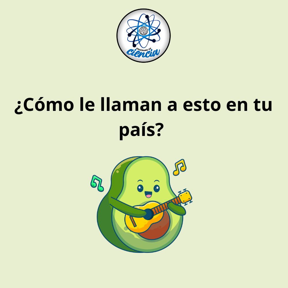 Enséñame de Ciencia tweet media