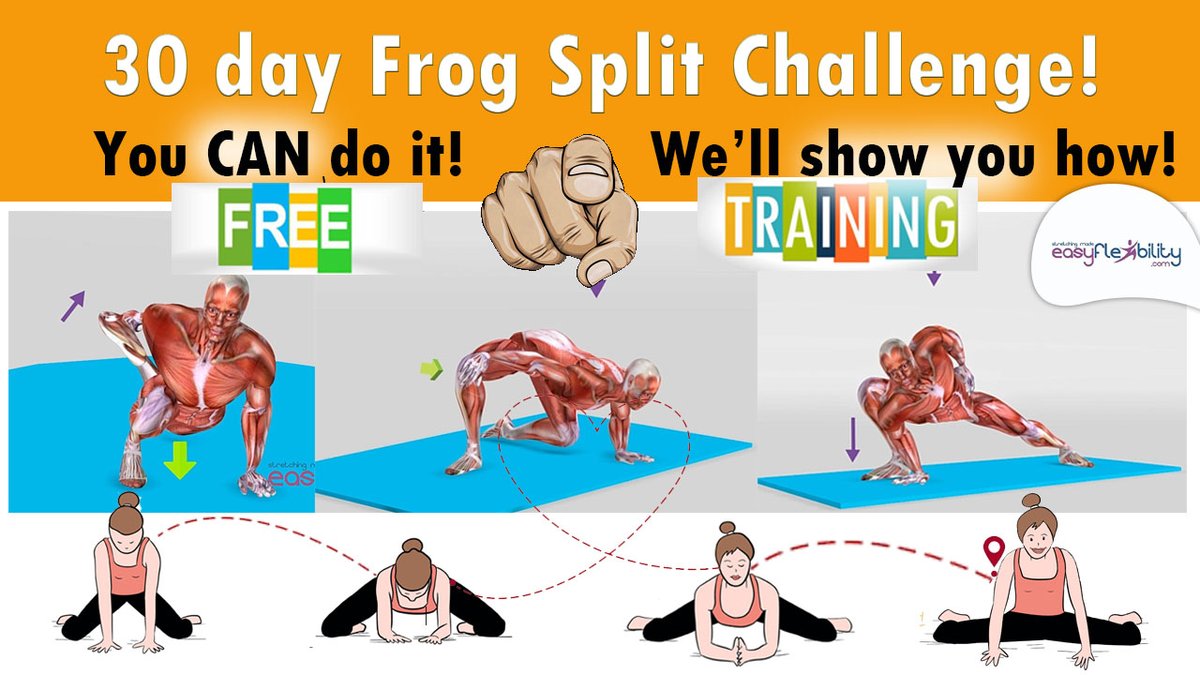 EasyFlexibility's tweet image. 🐸➡️👑 Struggling with your Frog Split? Are you finding it difficult to master your Frog Split? Join the EasyFlexibility Frog Split 30-Day Challenge today! 🌟 🎉 Dive into our 30-Day Online Training Course - absolutely FREE! 🎉 Discover if you can achieve a perfect 180-degree…