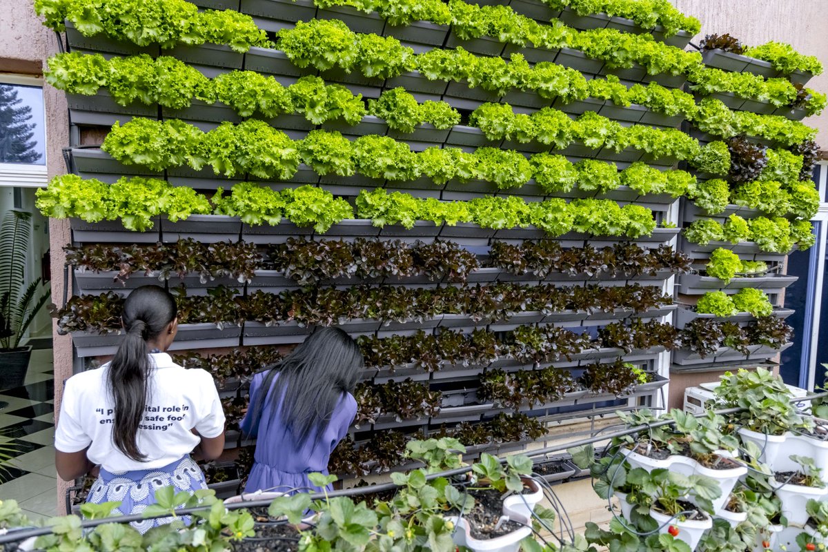 AKEZA Nkunzurwanda Germaine tweet media