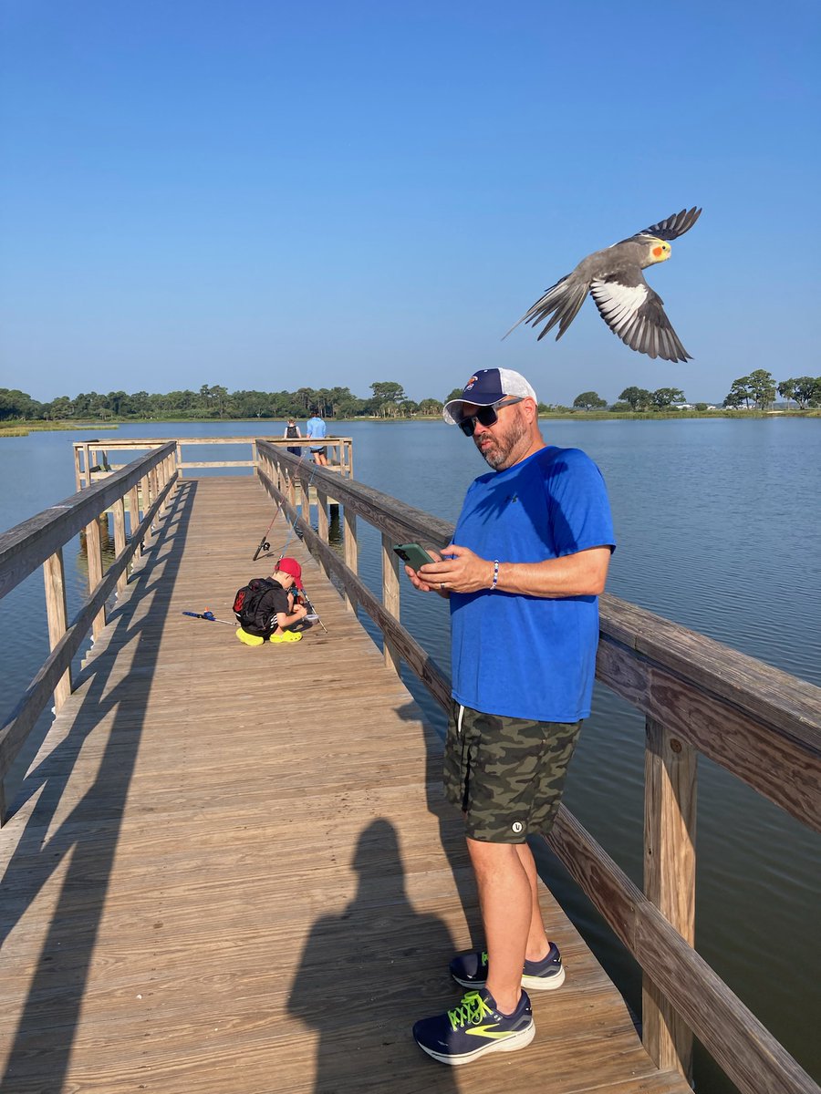 moneymetalcakes's tweet photo. Caption this close encounter w a raptor at Kiawah Island plz...#birdguy https://t.co/D9Pv8De24R