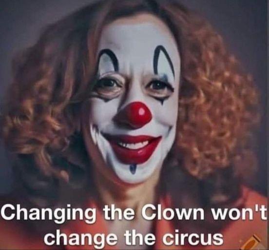 PatriotSassy's tweet photo. Anyone anyone voting for more of the same this fall is I-N-S-A-N-E #DefinitionOfInsanity #DoingTheSameThing #ExpectingDifferentResults #ThrowOutTheBums https://t.co/XegQriCr0L