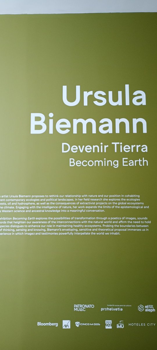 @jairomelo.bsky.social tweet media