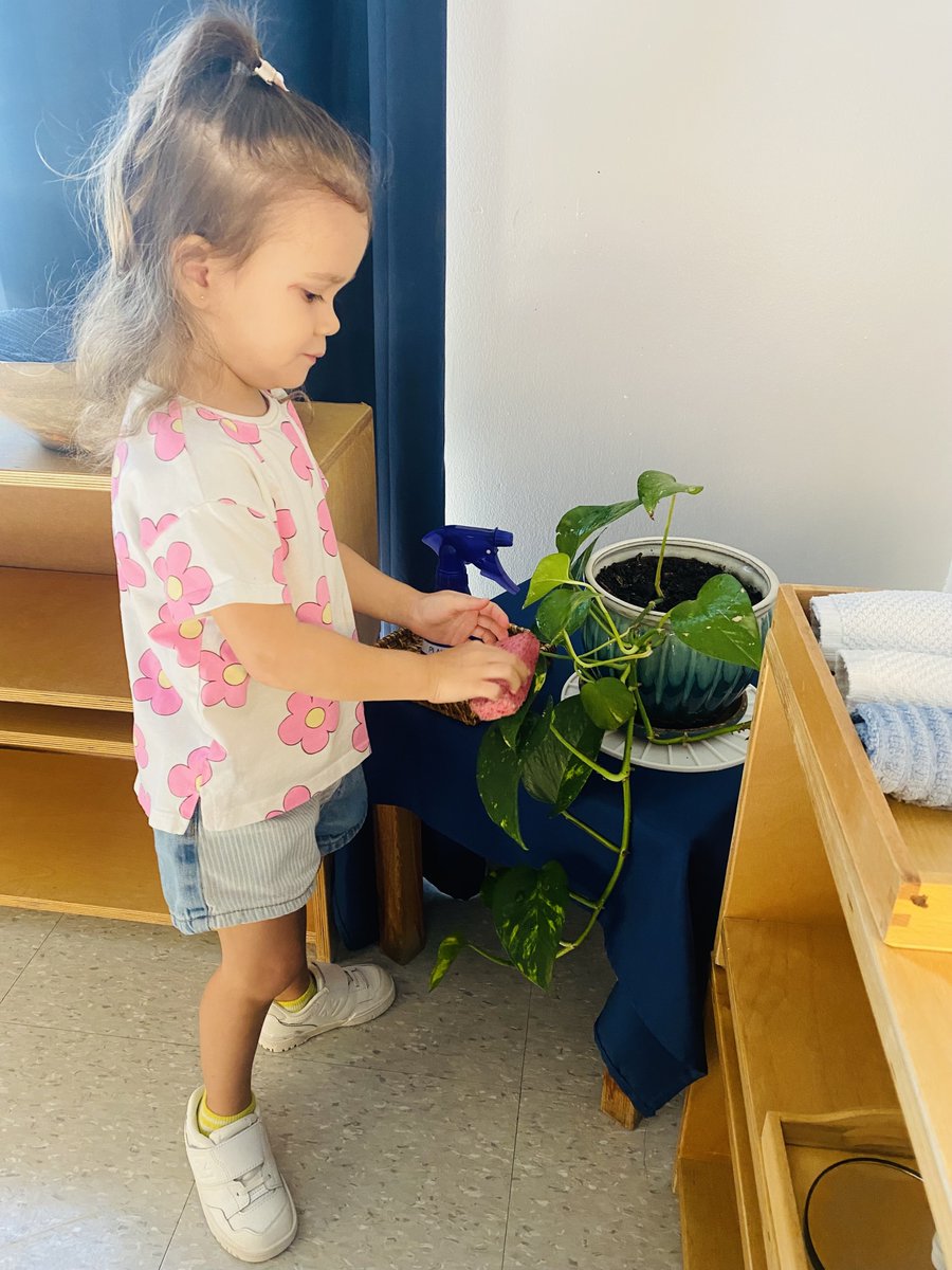 MontessoriHTX's tweet image. 🌿✂️ Our #Toddler #students are deeply engaged in their morning #workcycle today, learning through #handson #montessori activities. These experiences foster #finemotorskills, #independence, &amp;amp; a lifelong love for #learning. 

𝗦𝗰𝗵𝗲𝗱𝘂𝗹𝗲 𝗮 𝗧𝗼𝘂𝗿👇🏽
calendly.com/manuela-28/wms…