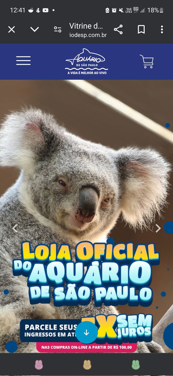SweetSenkai's tweet photo. After several friends of mine that never went to our city Aquarium asked wth I mean by "kangaroos" , I wanna say that 1) I don't name the places,  I just enjoy them. And 2) the main page of the São Paulo aquarium website has a koala as the featured animal. I rest my case. https://t.co/kqhJuds3MY