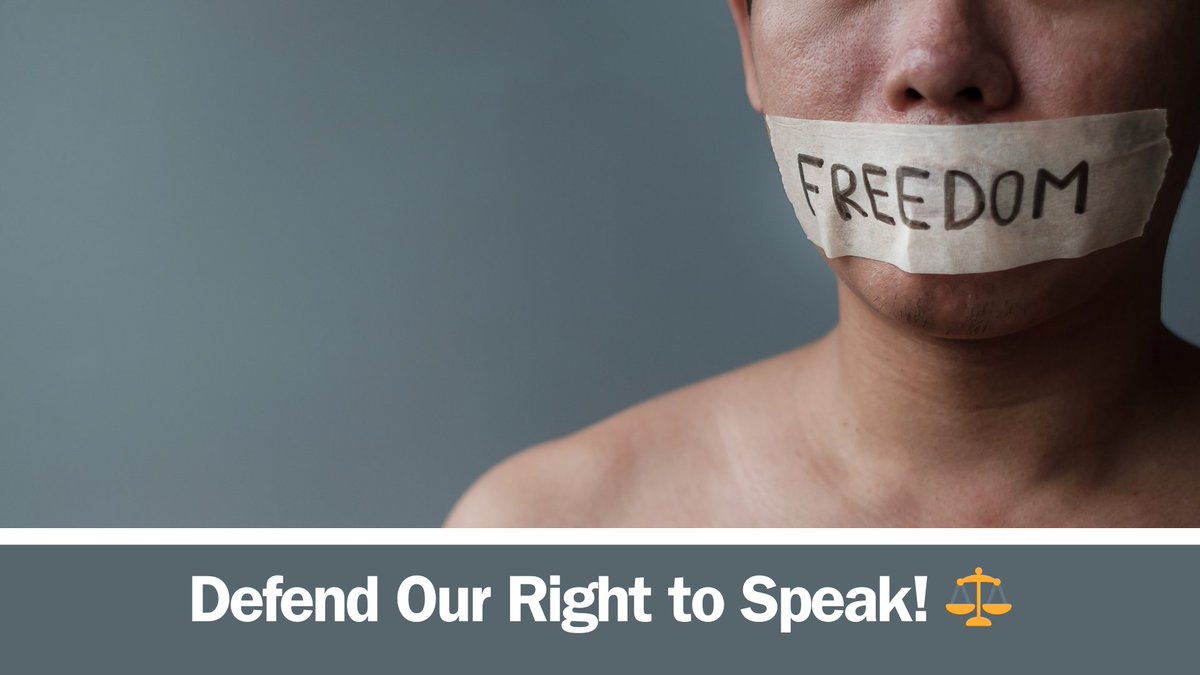 demthreezero's tweet image. Stand with us to challenge the council’s overreach and support free expression. 
Donate: eu1.hubs.ly/H0bCvYm0