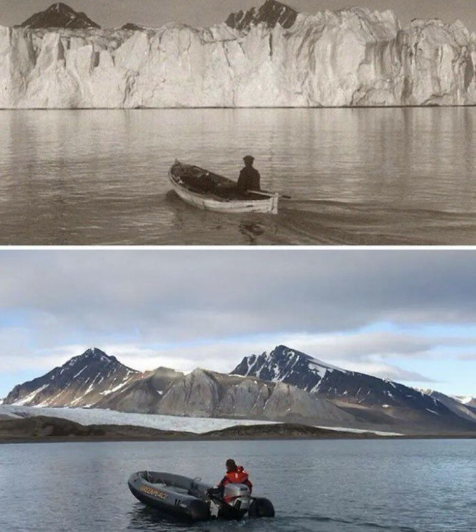 L’encyclopédiste 🌟 tweet media